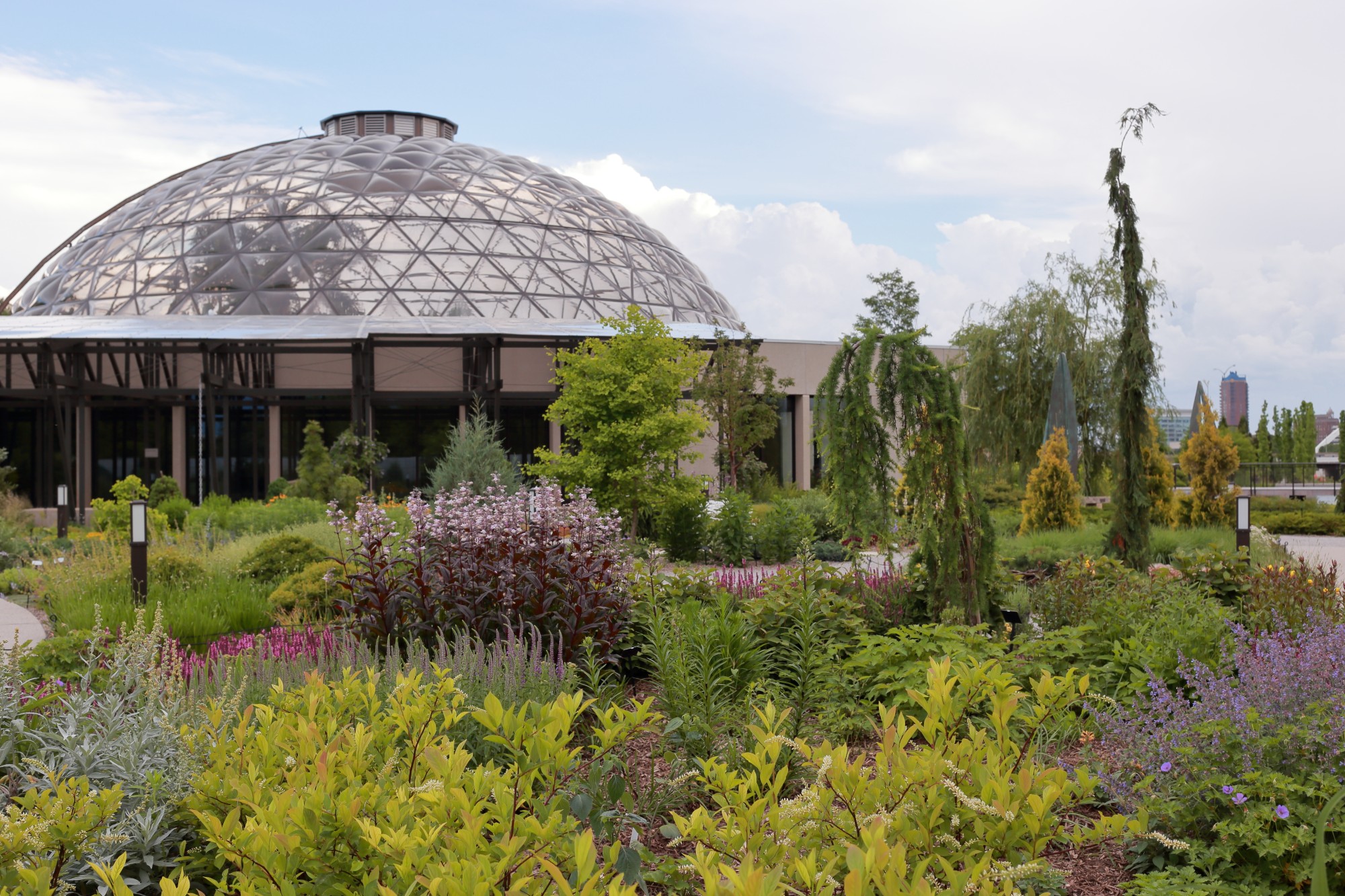 A view from the Koehn Garden towards the conservatory on June 1. Photo by Kelly Norris.