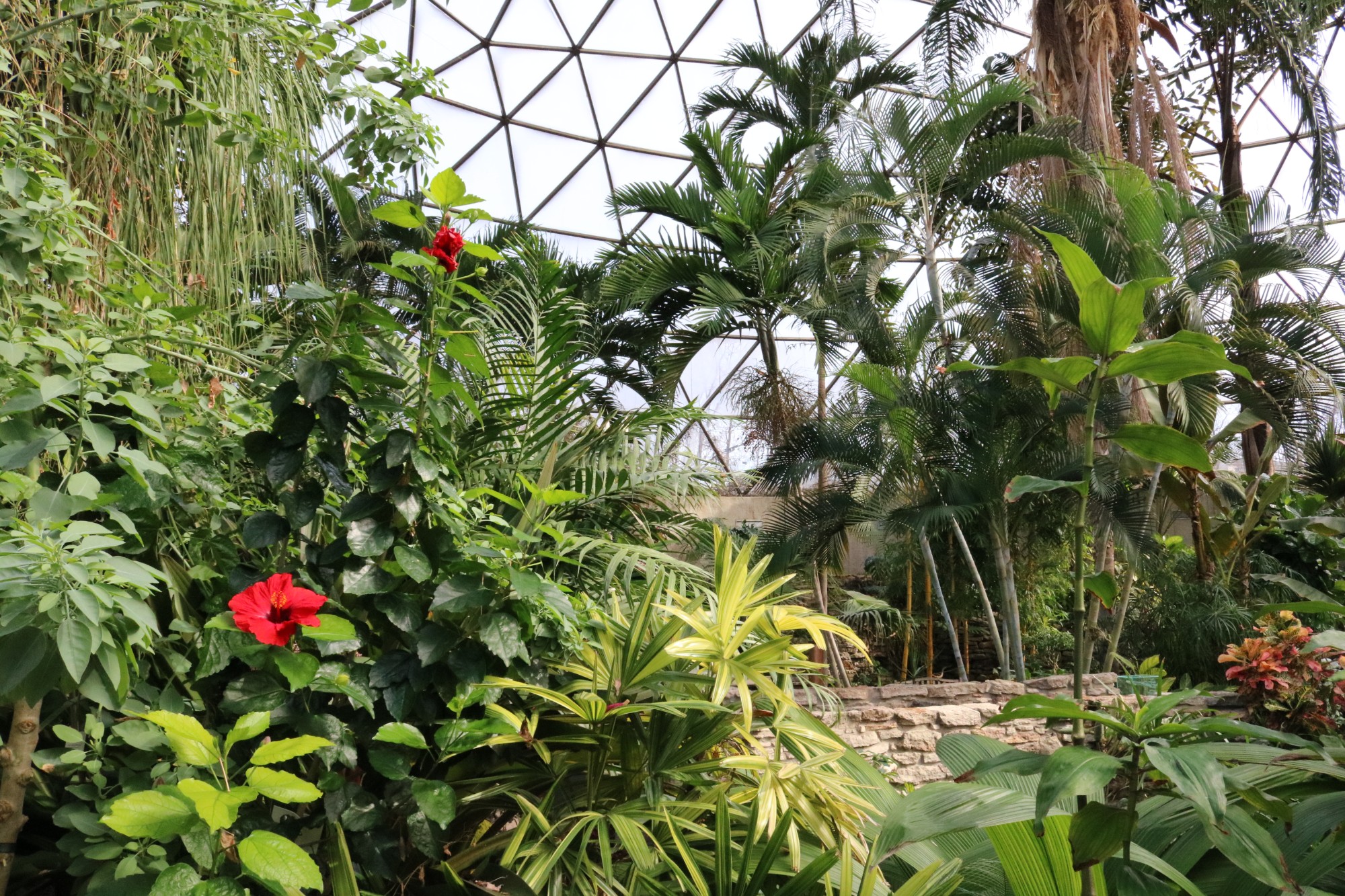 Conservatory, February 2018. Photo by Leslie Hunter.