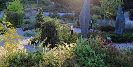 The Rutledge Conifer Garden, September 2016. Photo by Kelly Norris.