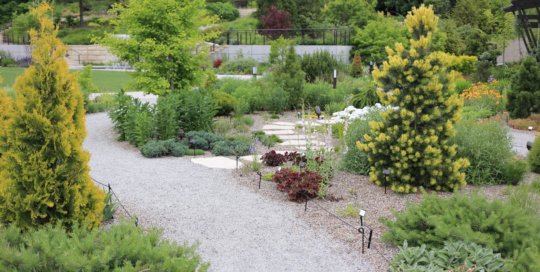 The Rutledge Conifer and Gravel Garden on June 1. Photo by Kelly Norris.