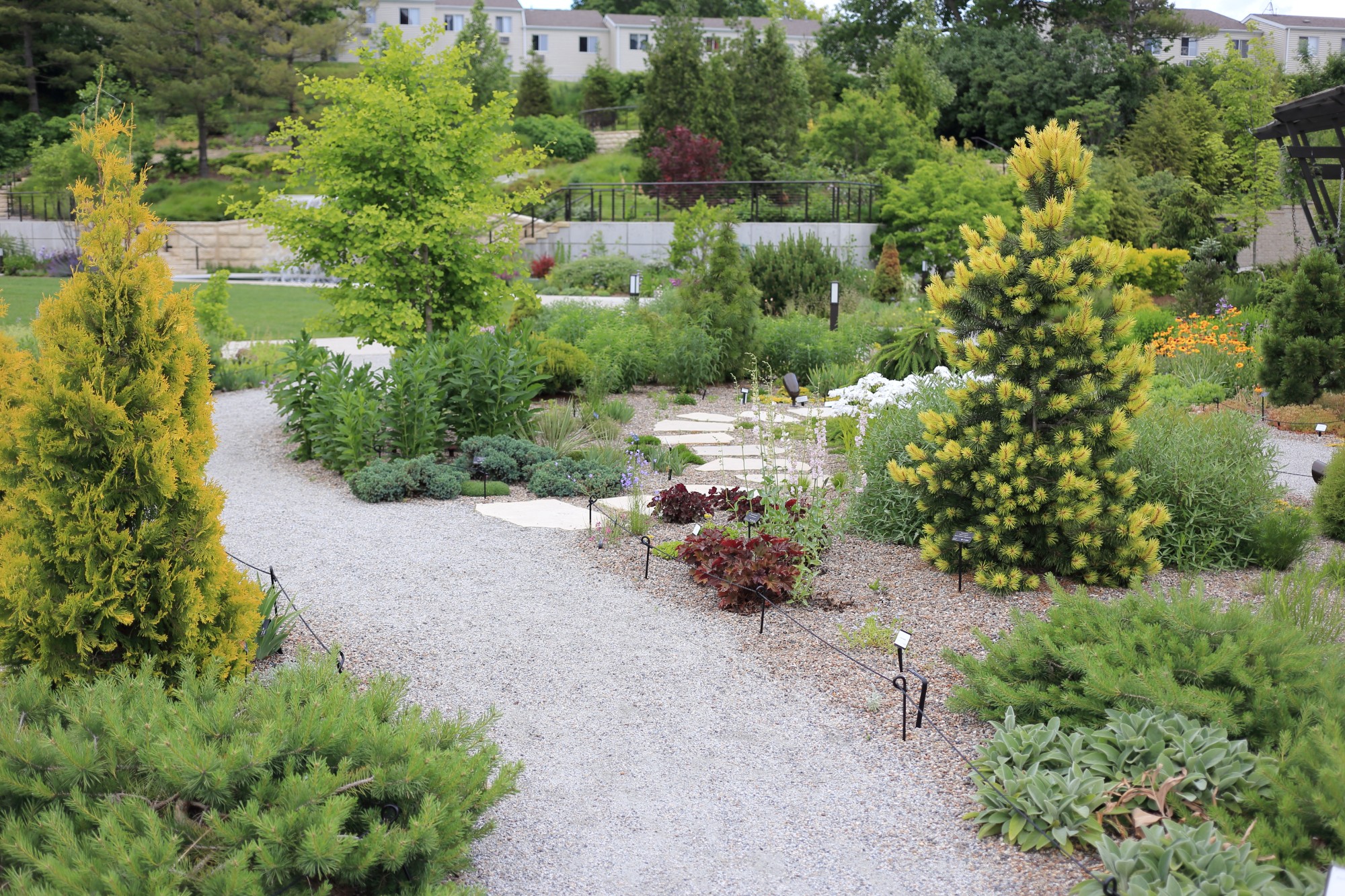 The Rutledge Conifer and Gravel Garden on June 1. Photo by Kelly Norris.