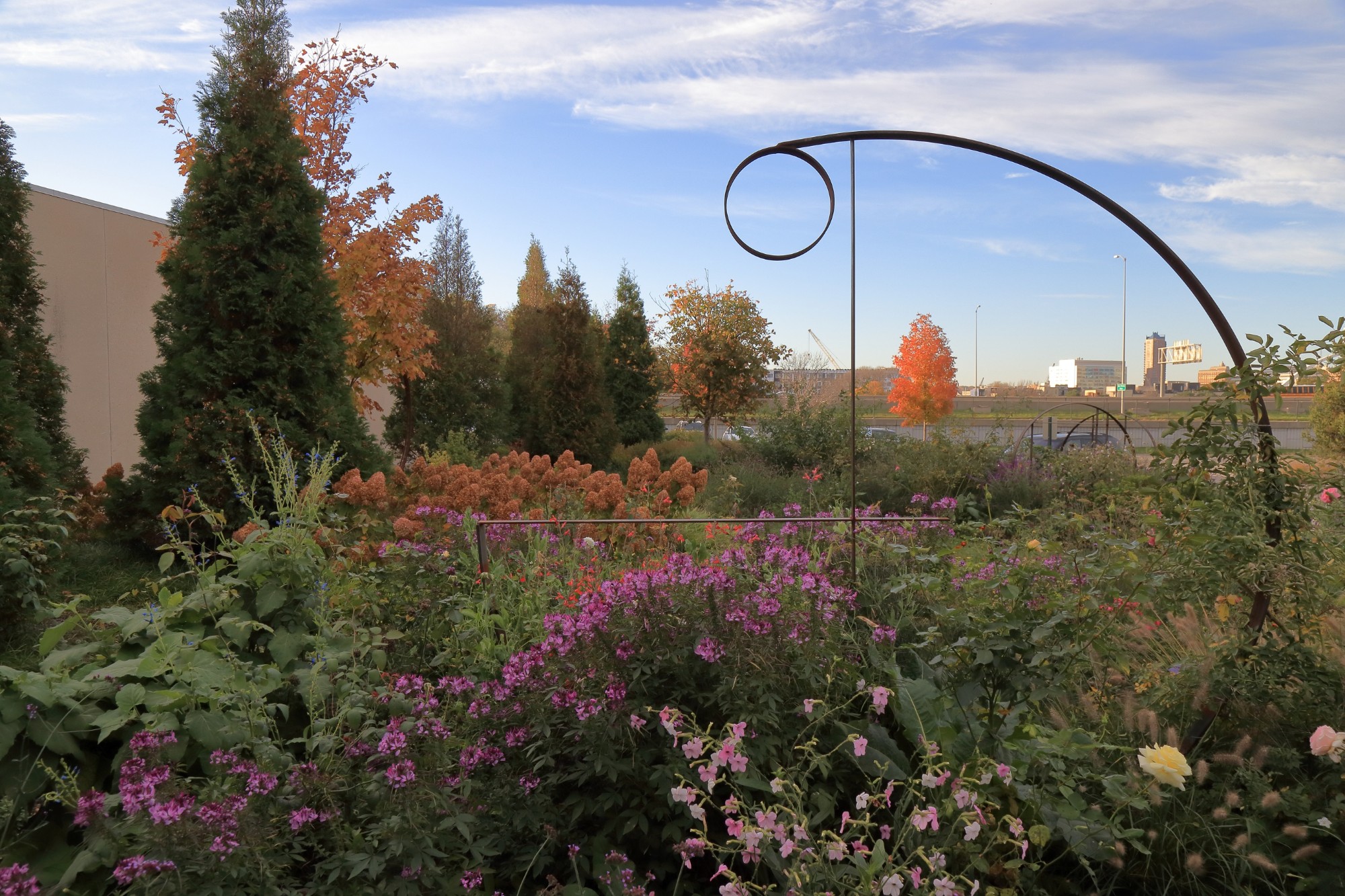 The Wells Fargo Rose Garden on October 26. Photo by Kelly Norris.