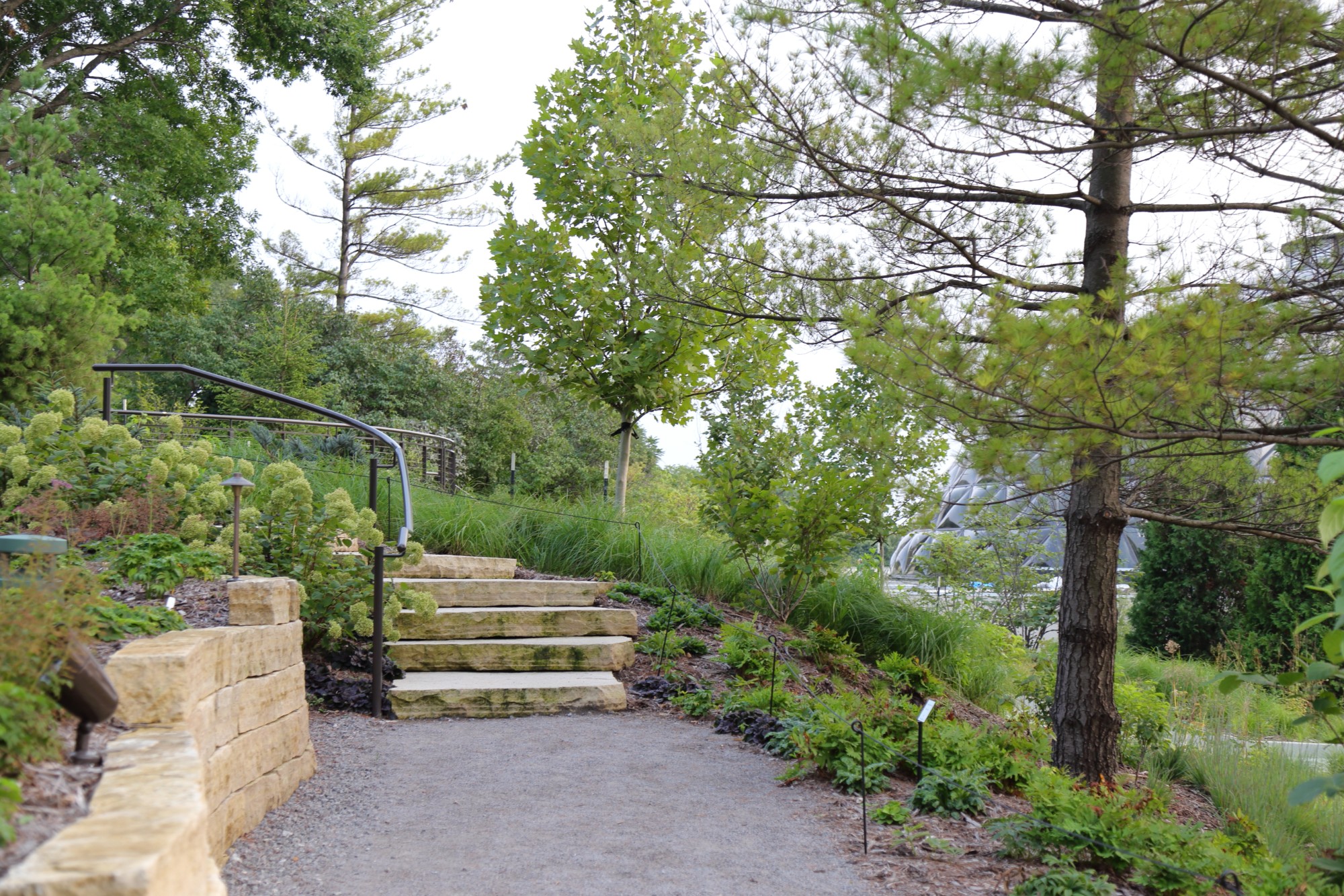 The path leading to the top of the hillside garden on August 30. Photo by Kelly Norris.