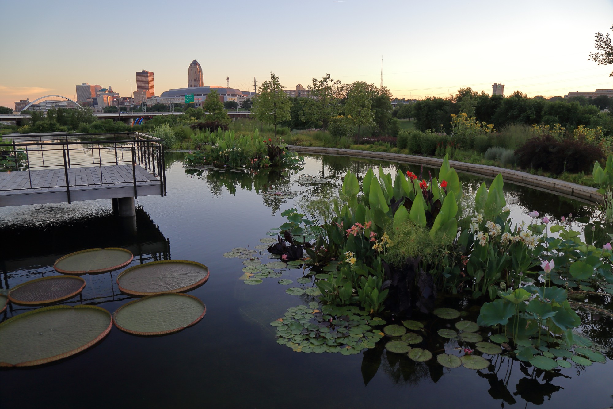 The water garden overlooking the Des Moines skyline on July 25. Photo by Kelly Norris.