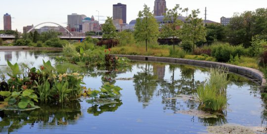 The water garden with the Des Moines skyline in the background, July 7. Photo by Kelly Norris.