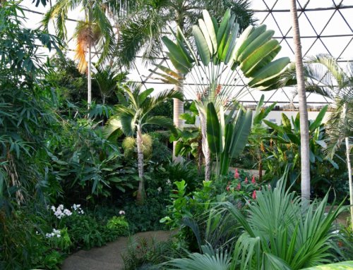 Botanical Garden Profile: Garden Hosts