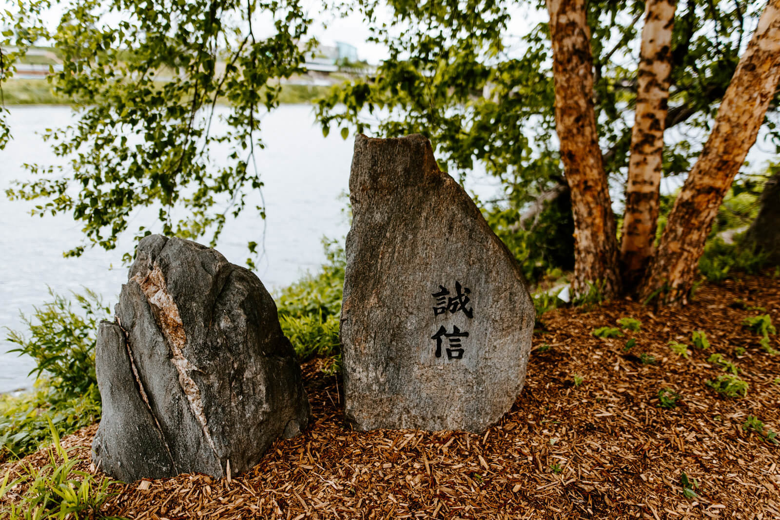Two boulders next to each other, and the right one has Chinese characters carved on it.