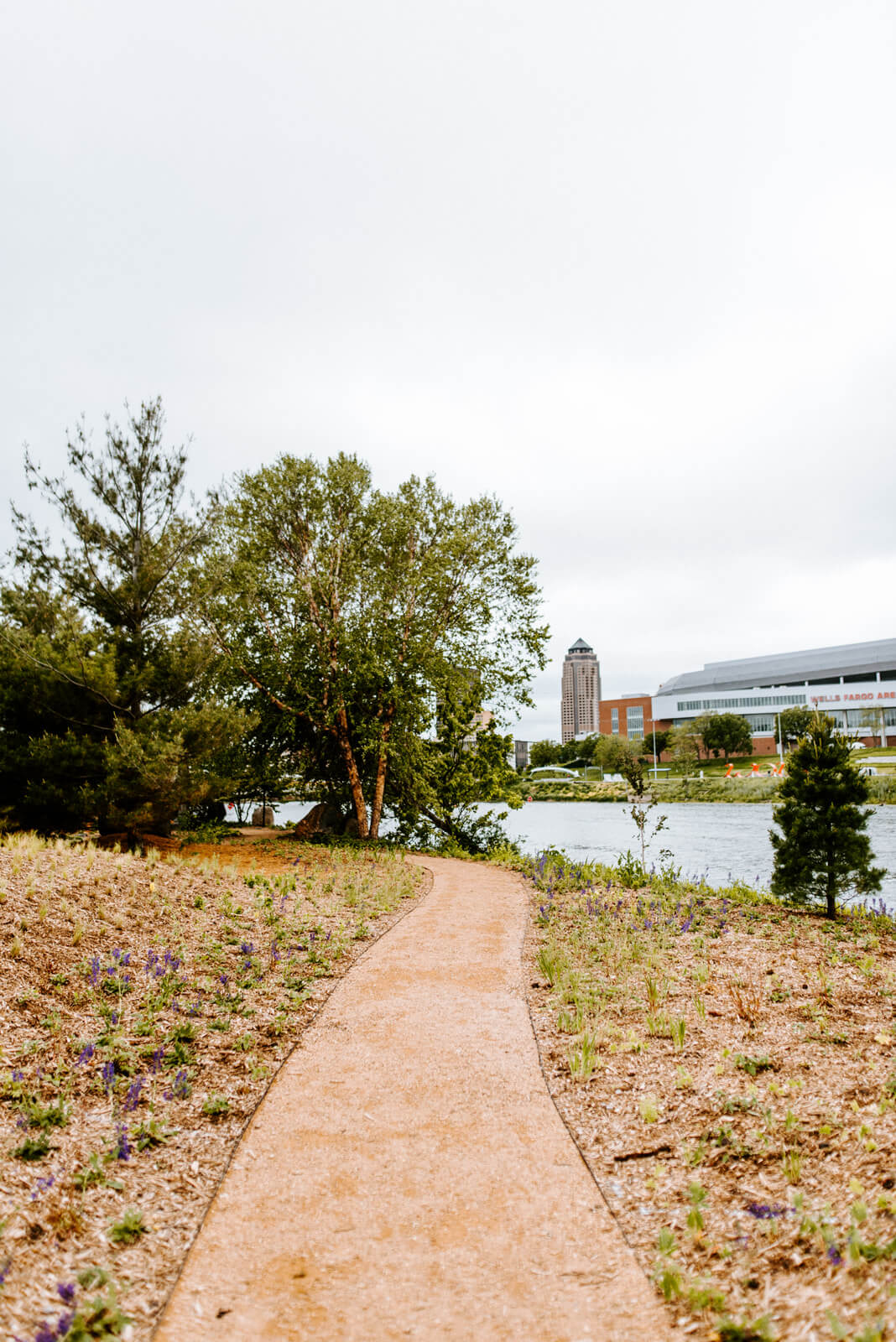 A dirt path in-between garden beds alongside a river with a skyline in the background.
