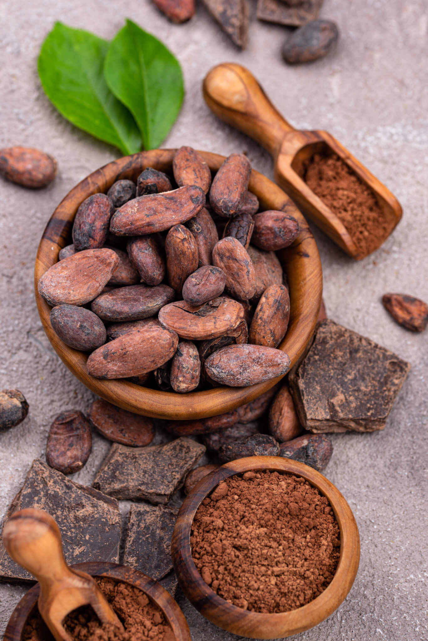 Natural cocoa powder, cocoa beans and pieces of dark chocolate