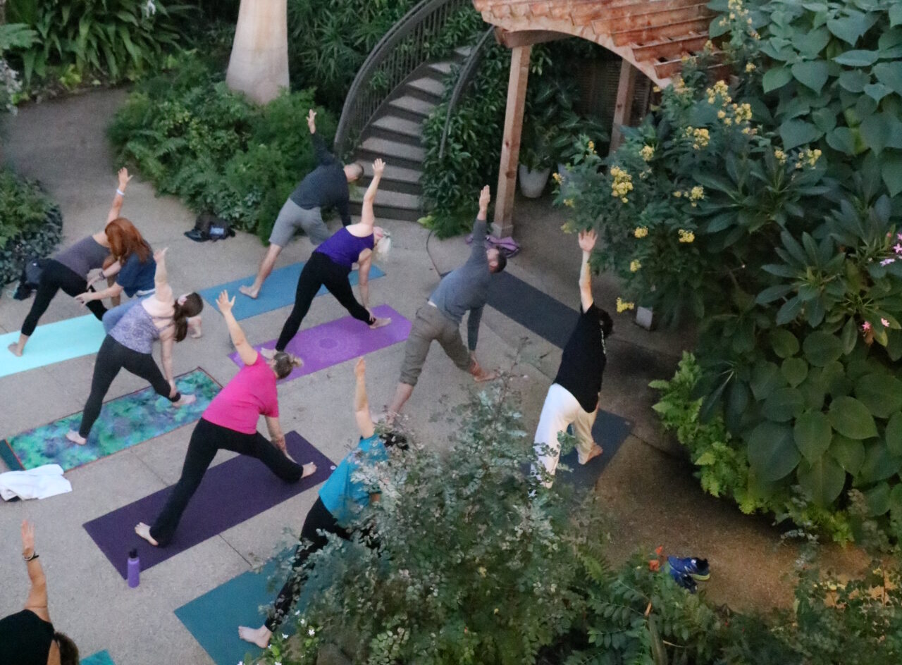 People doing yoga in a geodesic dome.