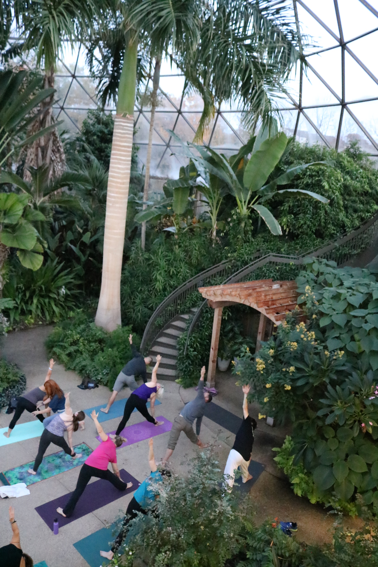 People doing yoga in a geodesic dome.