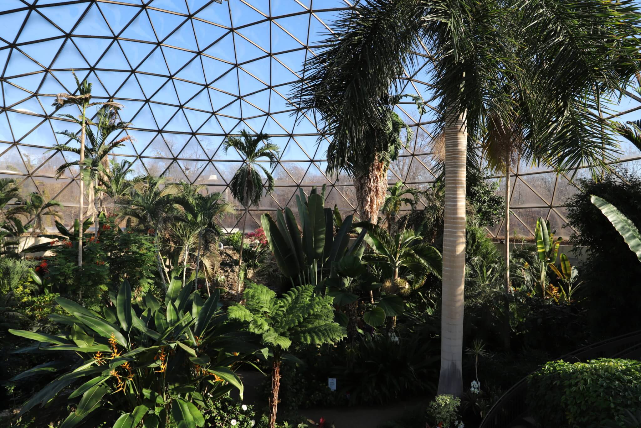 Photo of tropical plants in a geodesic dome.