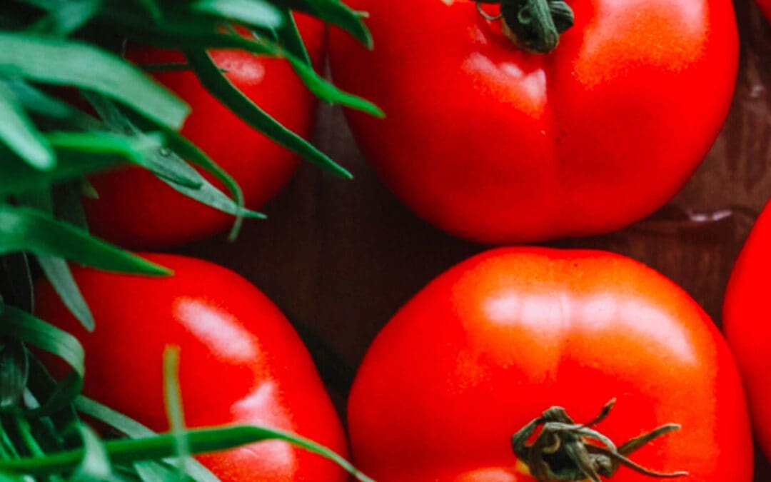 Tips for Growing Healthier Tomatoes