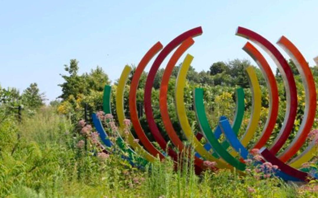 A Colorful, Plant-Filled Oasis in the Heart of Des Moines