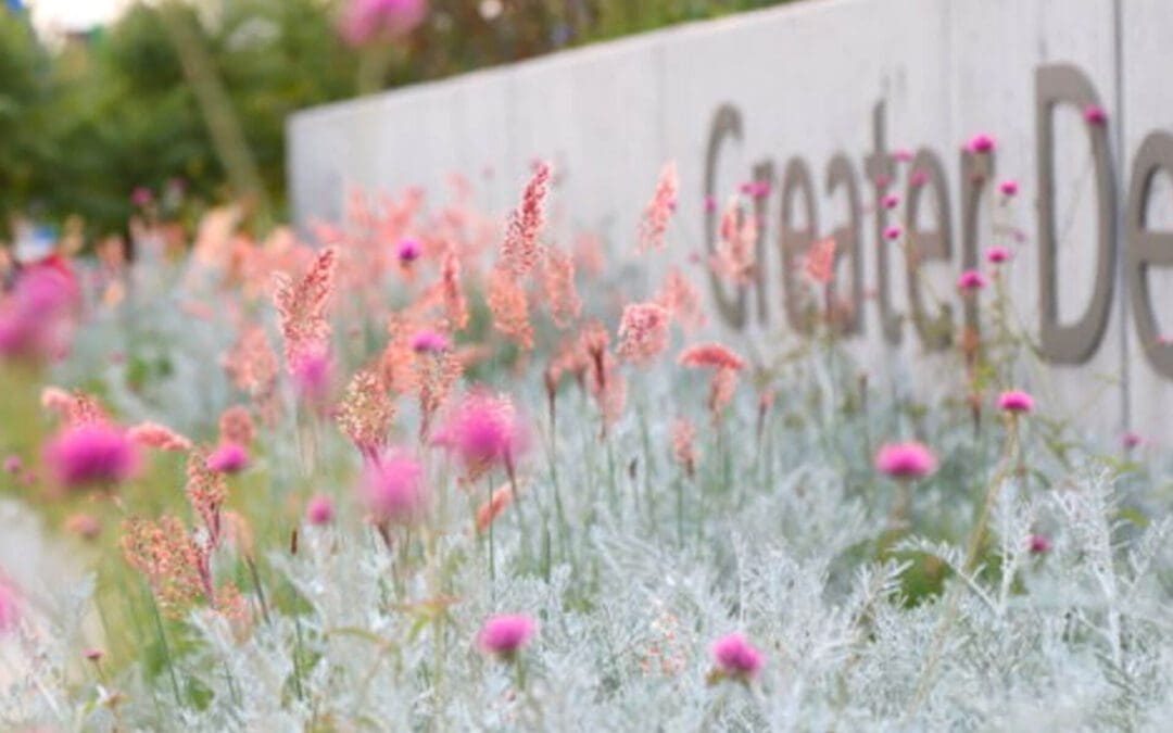 Textural Appeal: 8 Grasses to Add Complexity to Your Garden
