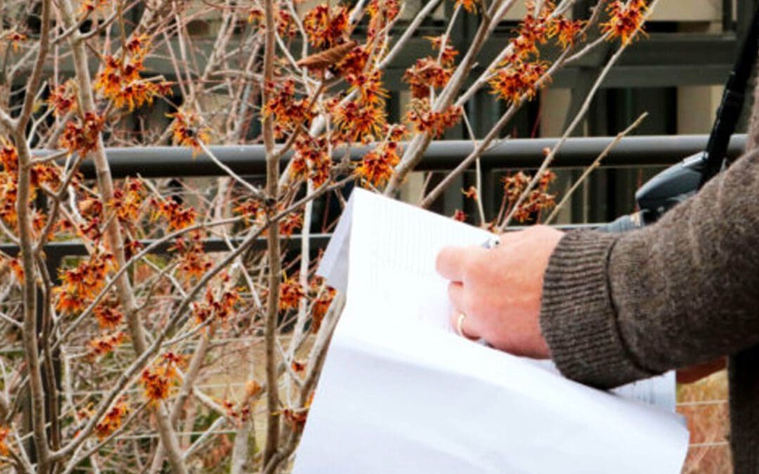 Phenology: Tracking Plants in Bloom