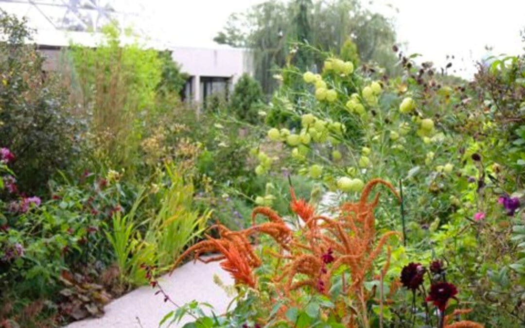Annual Plantings: 4 Steps to Dynamic Designs