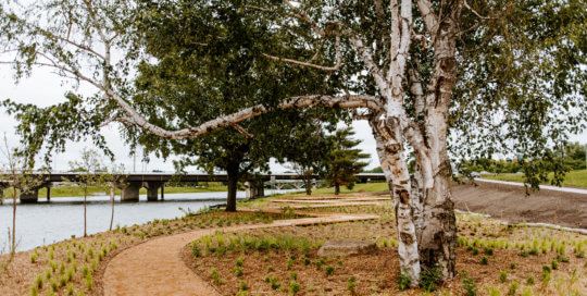 The view from the north side of the Robert D. Ray Asian Garden.