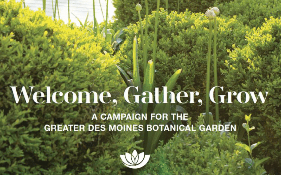 Welcome, Gather, Grow Update