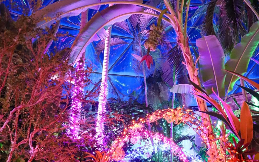 Fun Facts: Dome for the Holidays