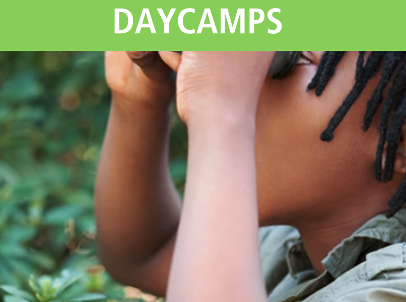 Kid at day camp looking at plants and dragons.