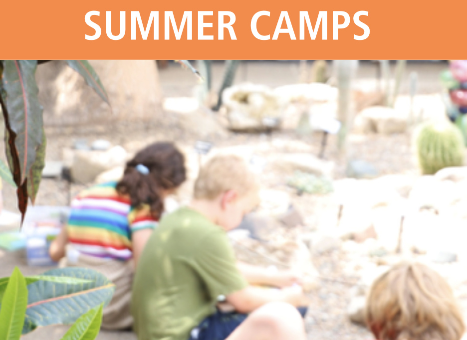 GARDEN ARTISTS SUMMER CAMP Garden Artists
