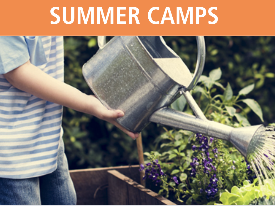 WILDERNESS RANGERS SUMMER CAMP