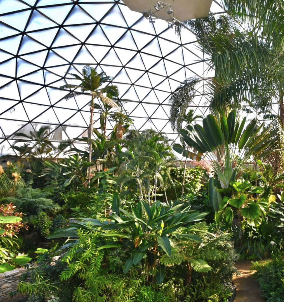 Botanical Garden ！SIMPSON M30CARBON ♪ Conservatory and Indoor Gardens - Greater Des Moines Botanical Garden