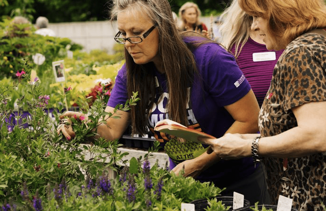 Waking Up the Garden: Ease into Spring Planting