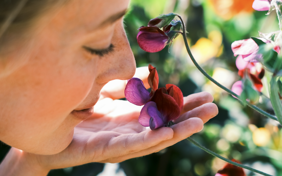 How to Create a Sensory Garden