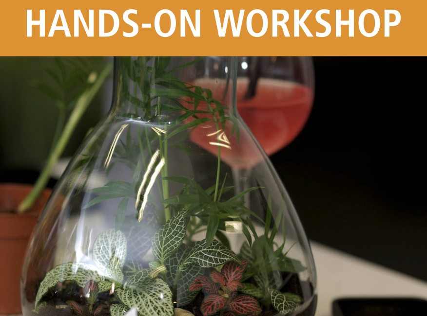 Toast to terrariums sip and plant
