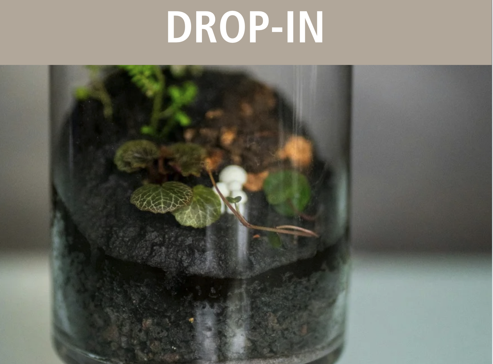 mini terrarium
