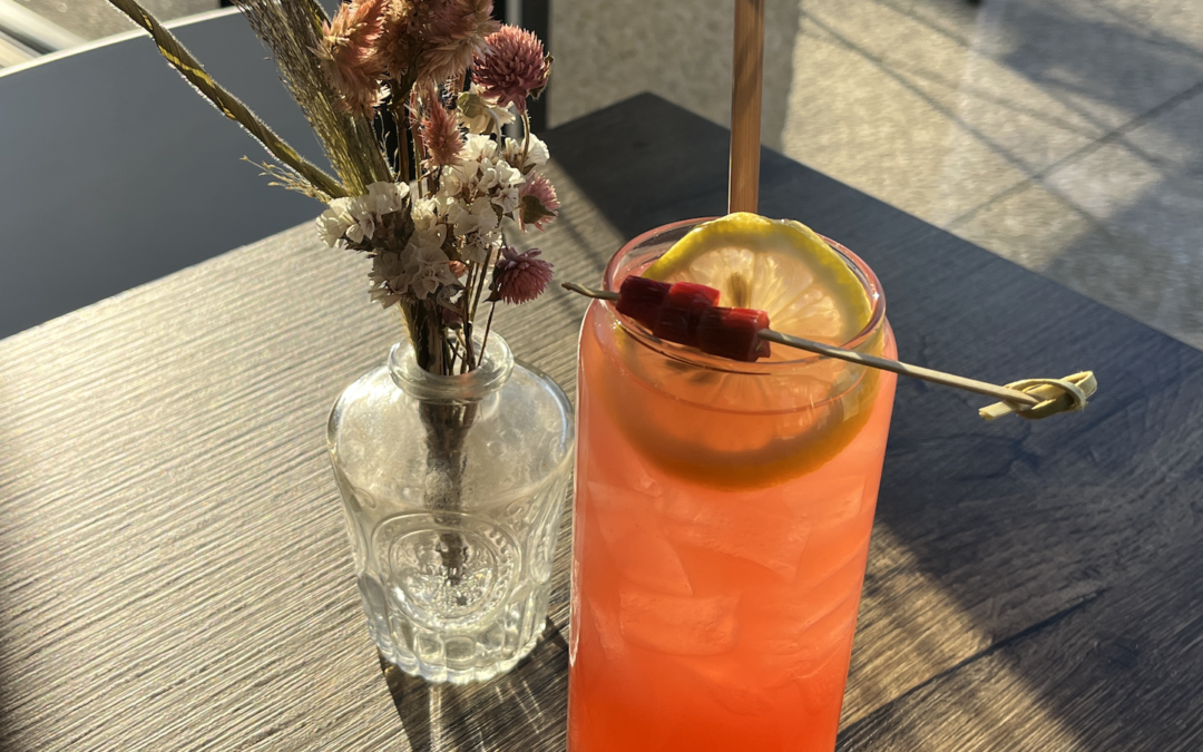 How to Make Rhubard Lemonade